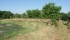 DSCF4843 (FILEminimizer).JPG